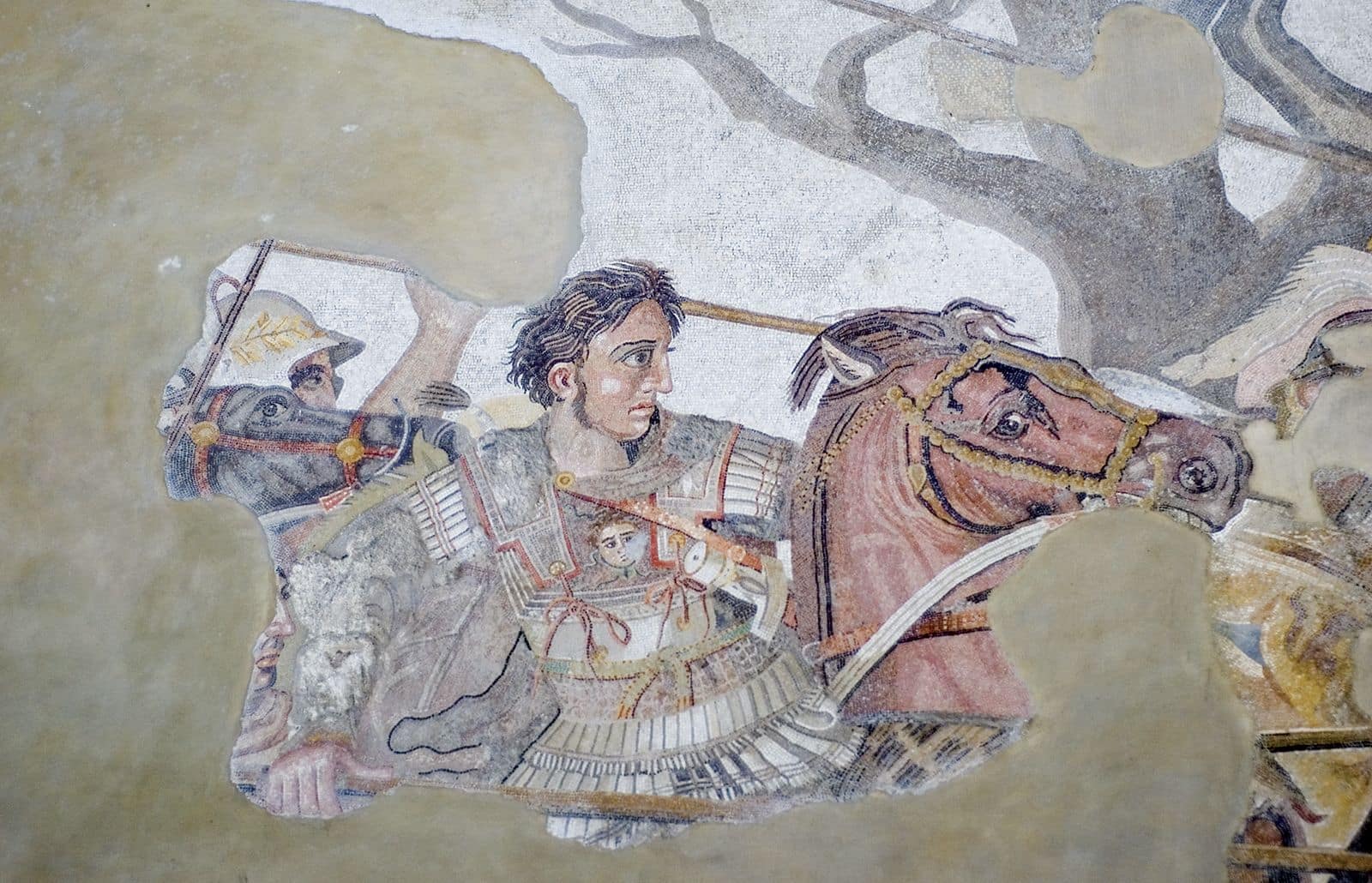 The History of Alexander the Great