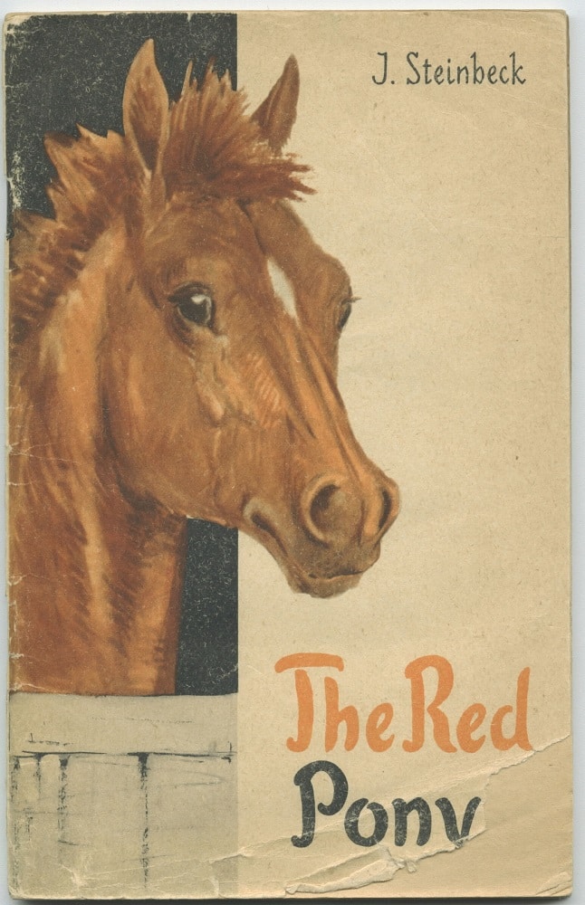 The Red Pony Book Review