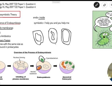 IB Biology SL Past Papers