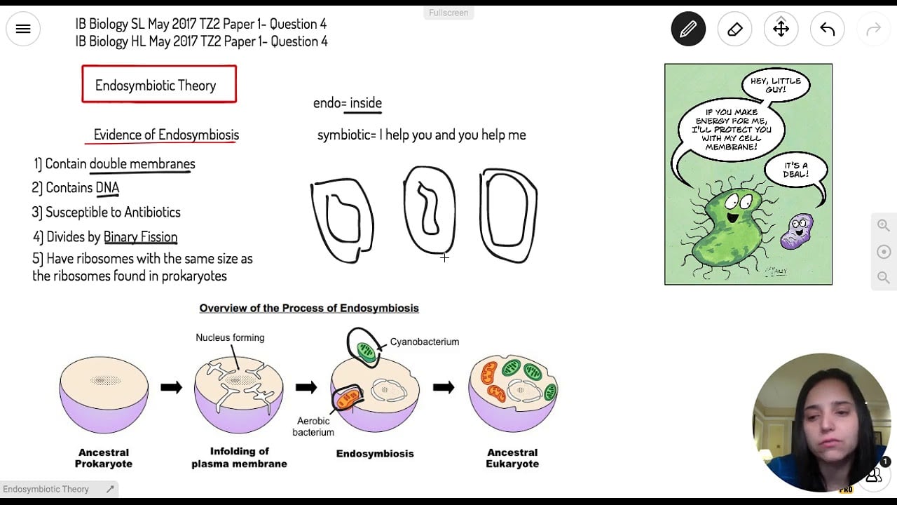 IB Biology SL Past Papers