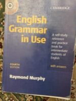 English grammar in use