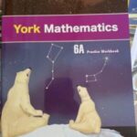 York mathematics 6A practice book