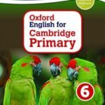 Oxford English for Cambridge Primary 6 student book