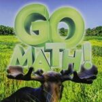 GO MATH