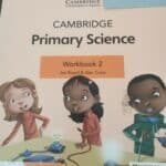 Primary science workbook