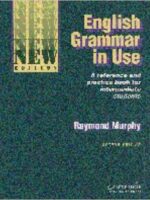 English Grammar in Use Without answers: Reference and Practice for Intermediate Students