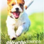 ELEVATE ELEMENTARY SCIENCE 2019 STUDENT EDITION GRADE K